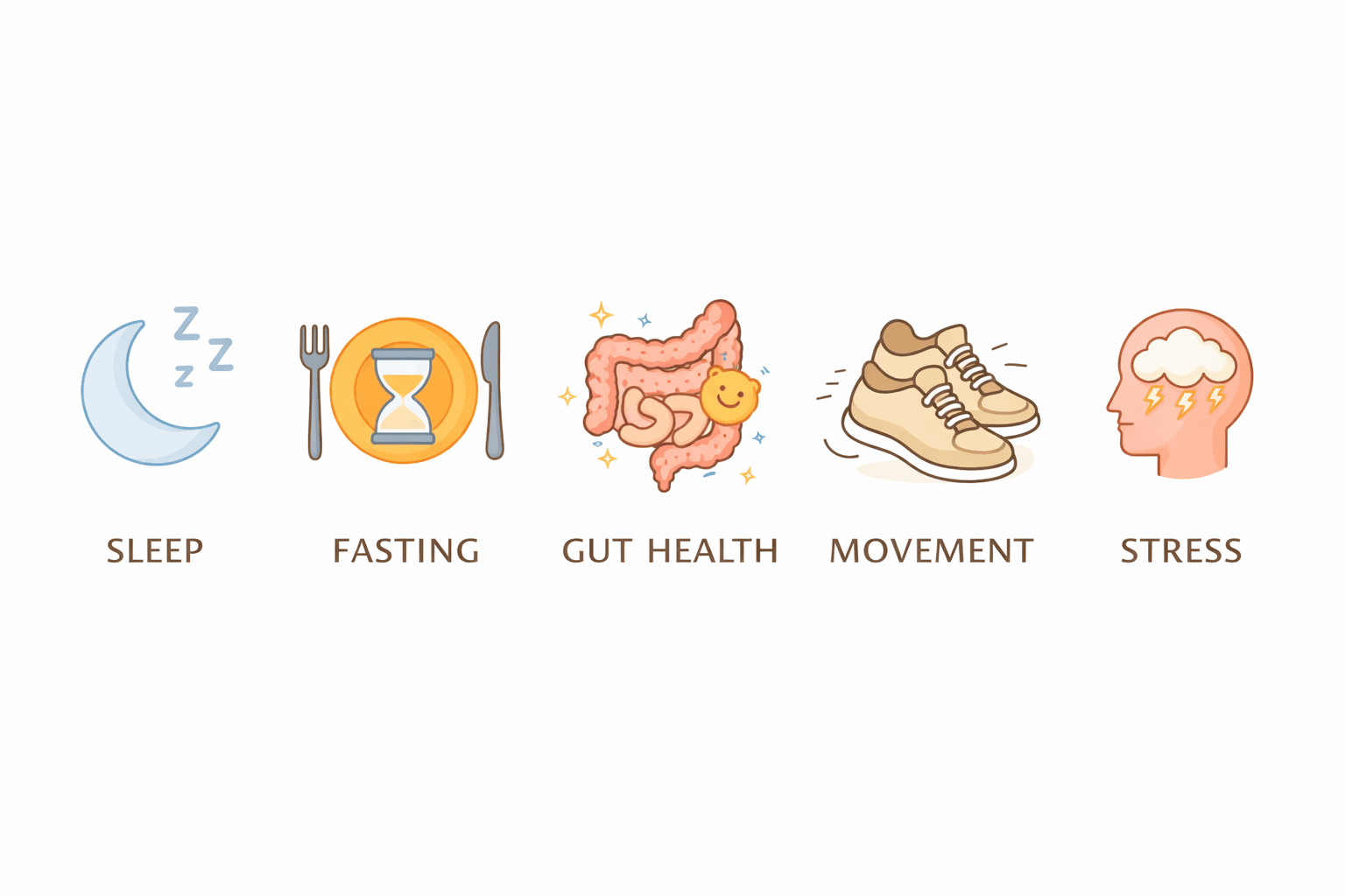 Core lifestyle pillars that influence biological aging